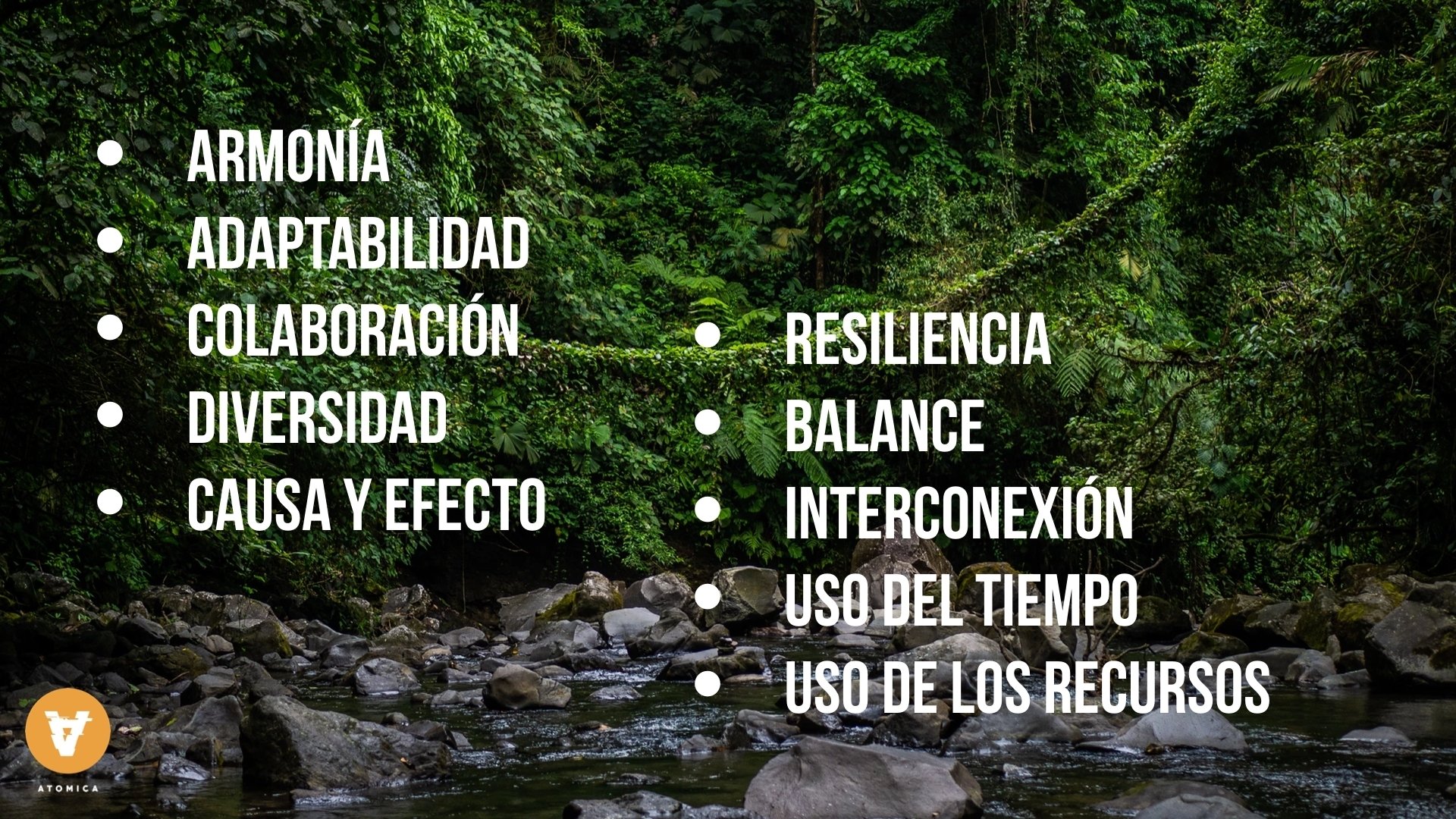 emprendimiento y mindfulness principios de la naturaleza operacion evolucion